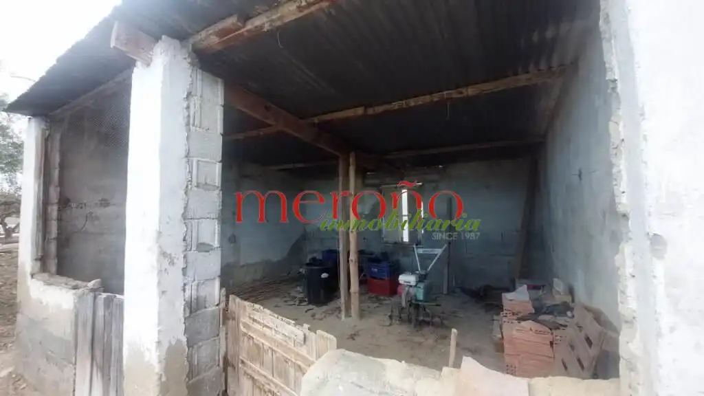 Casa o chalet en venta en Elche / Elx