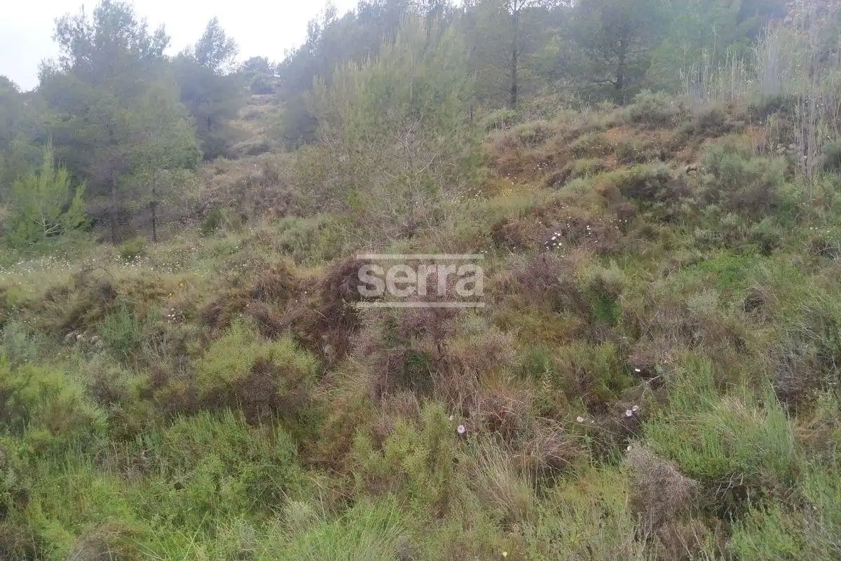 Land for sale in Torrelles de Foix