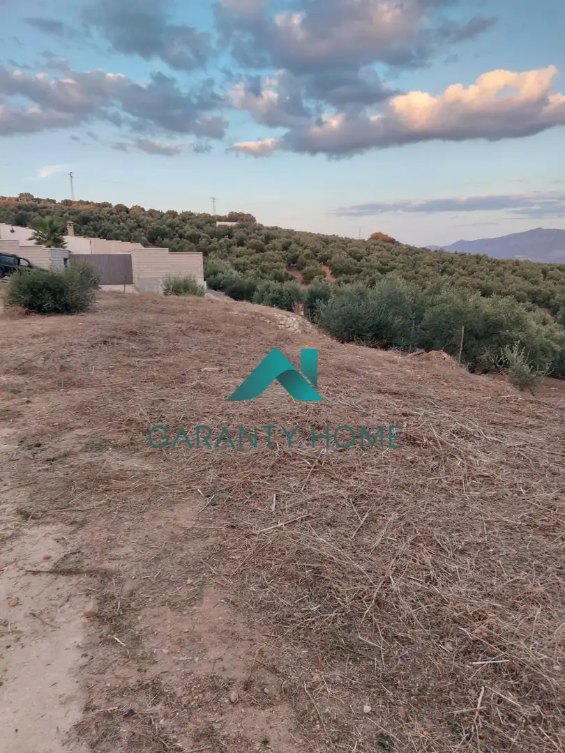 Rural land for sale in Poleares, imagen 3