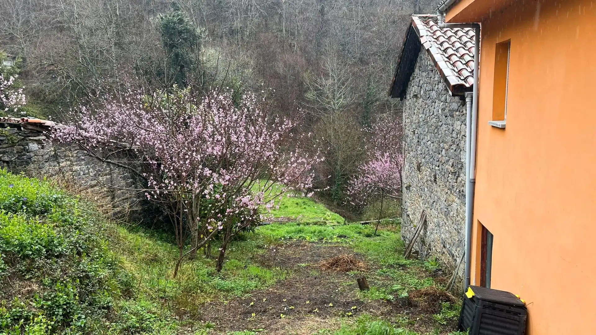 Jardí de Casa o xalet en venda en Oseja de Sajambre amb Calefacció