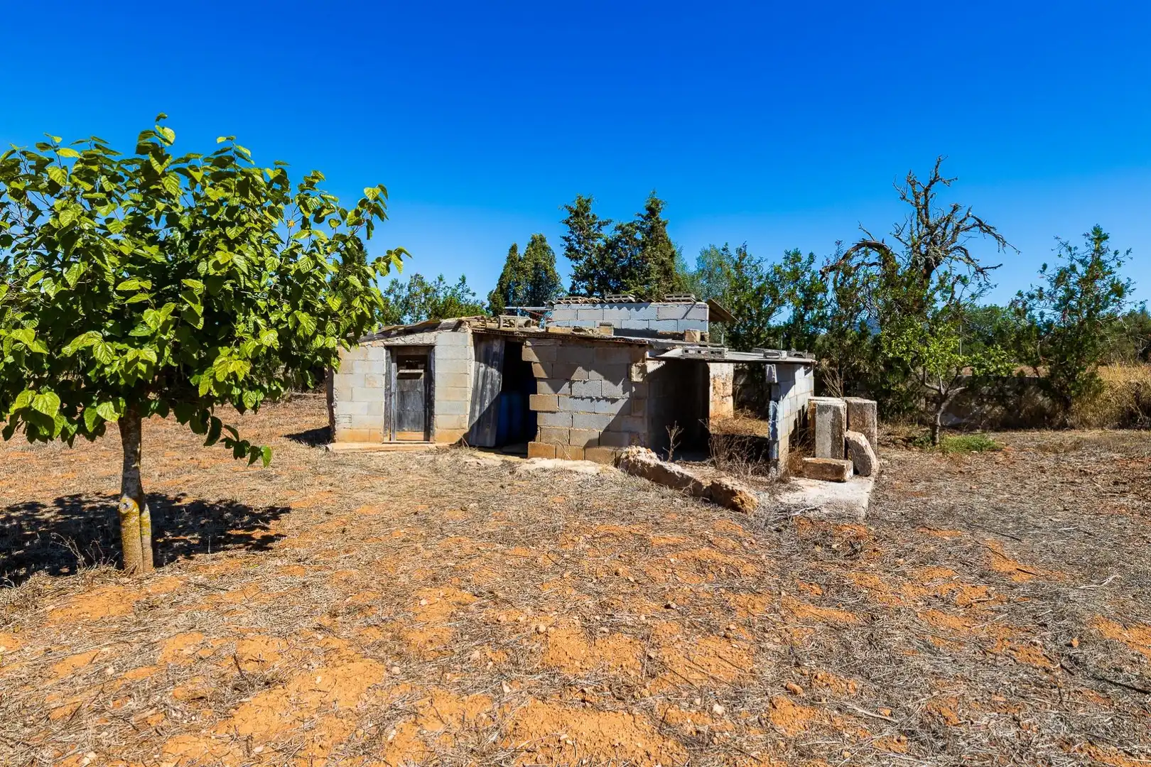 Rustikales Grundstück zum Verkauf in Llucmajor pueblo, imagen 33