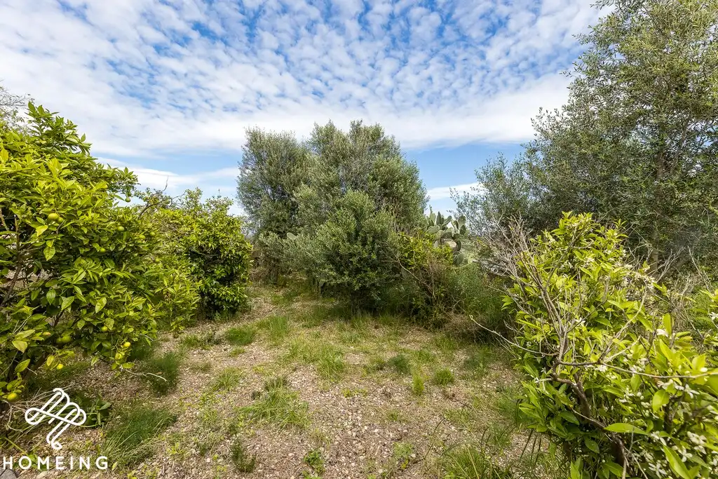 Country homes for sale in Costitx  with Private garden and Terrace