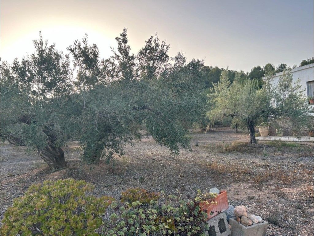 Country house for sale in Segorbe