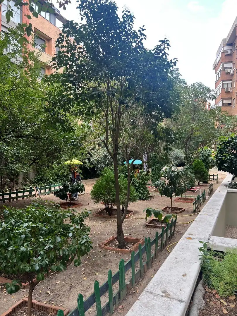 Garden of Flat for rent in Arganzuela
