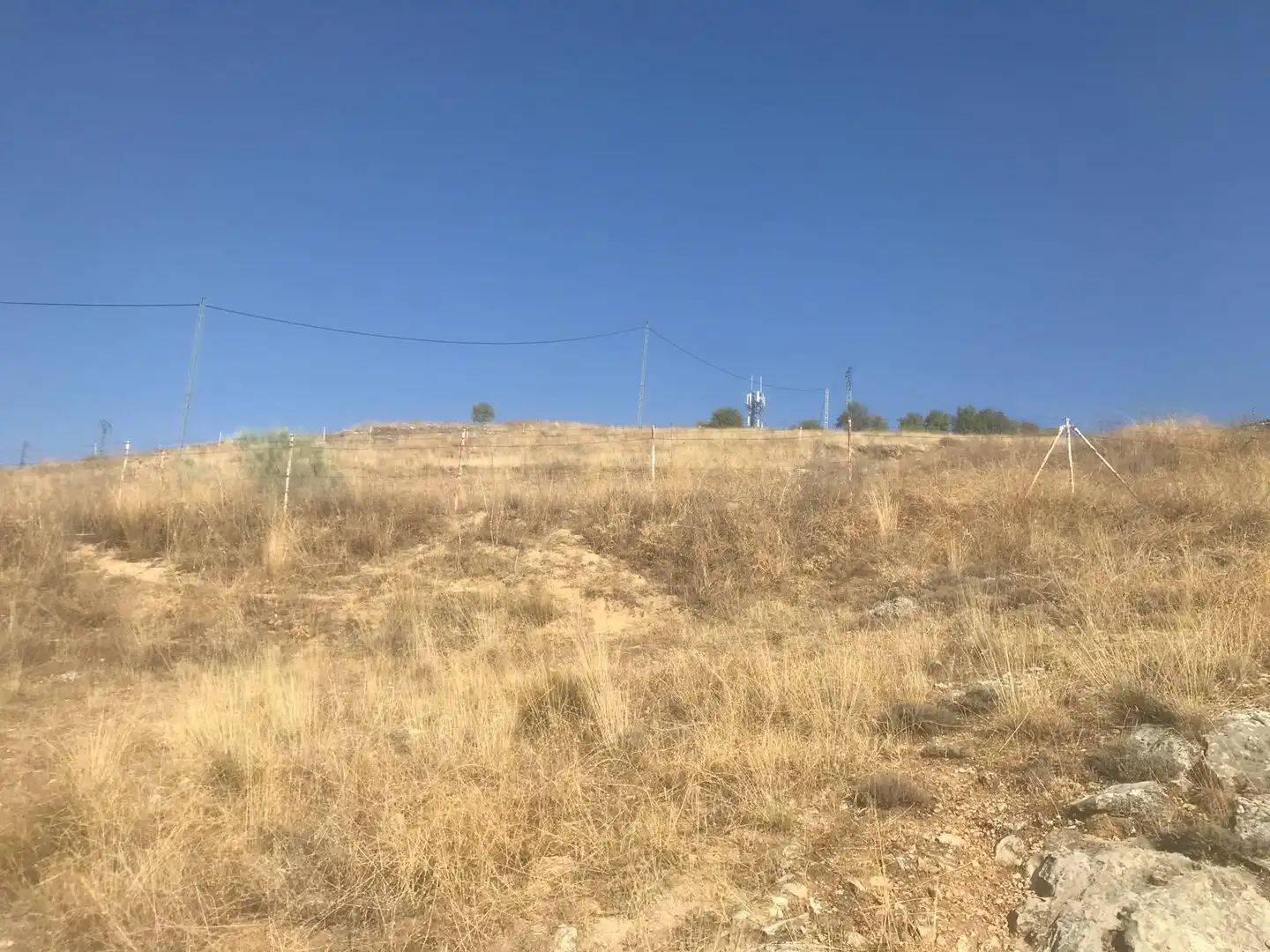Terreny residencial en venda a Poligono 19-Rustica, imagen 6
