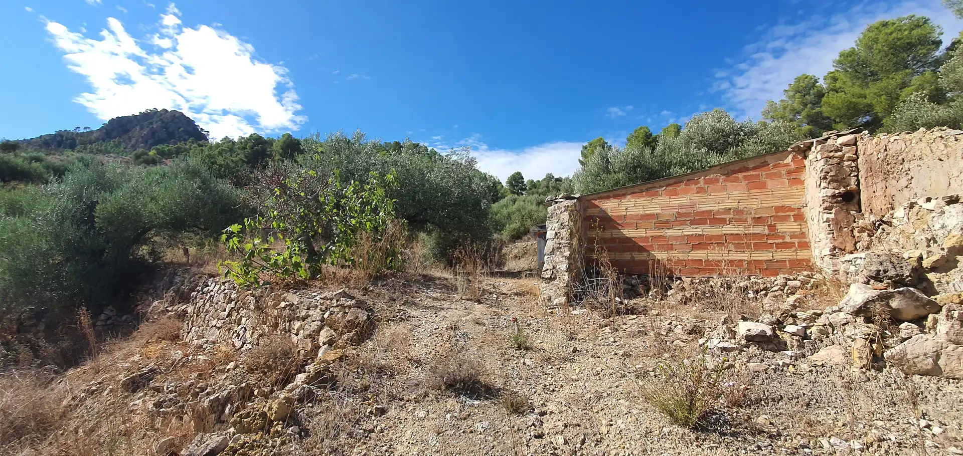 Houses for sale in Benifallet