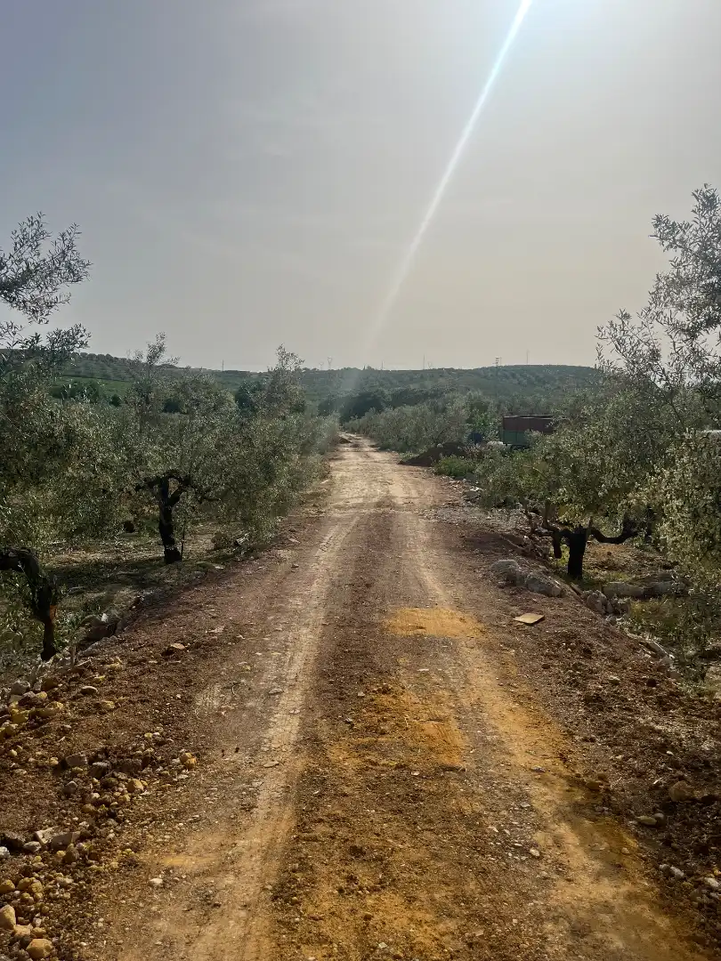 Finca rústica en venta en Olivares con Jardín privado, Terraza y Amueblado
