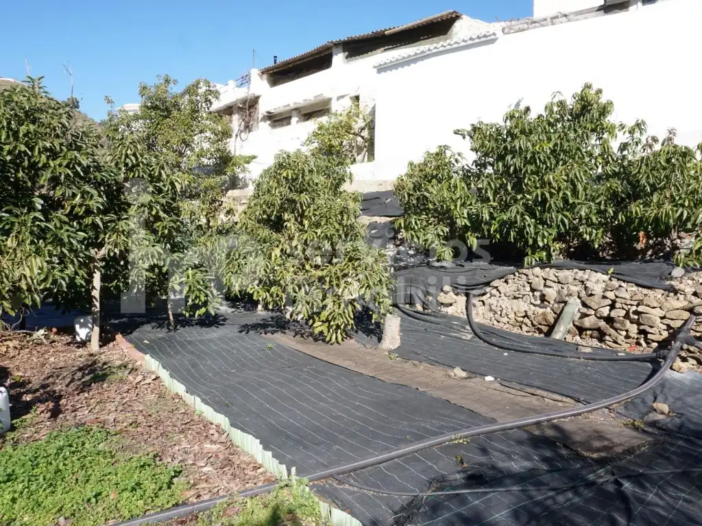Casa o chalet en venta en Canillas de Aceituno