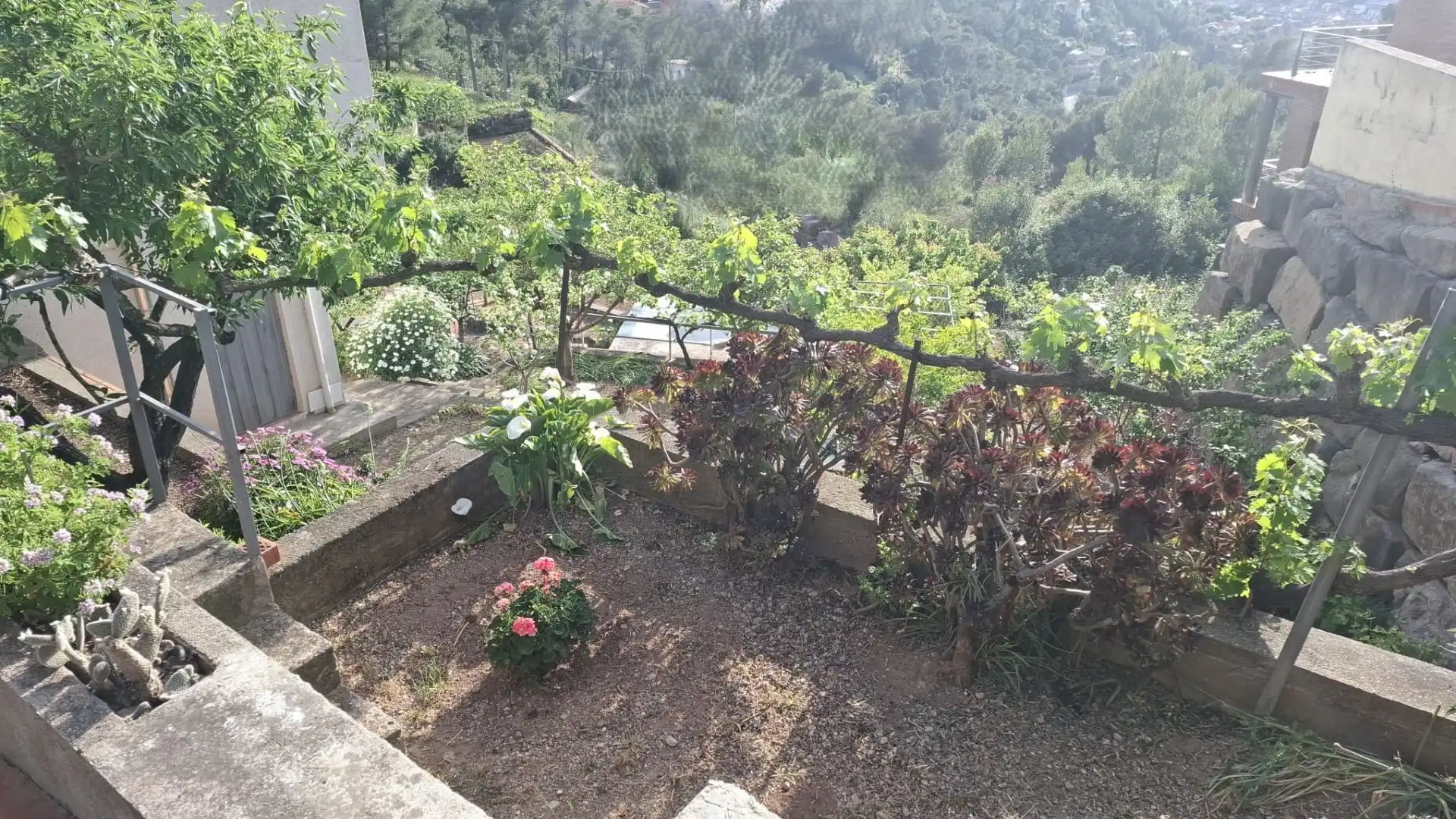 Jardí de Casa o xalet en venda en Vallirana amb Aire condicionat, Calefacció i Terrassa