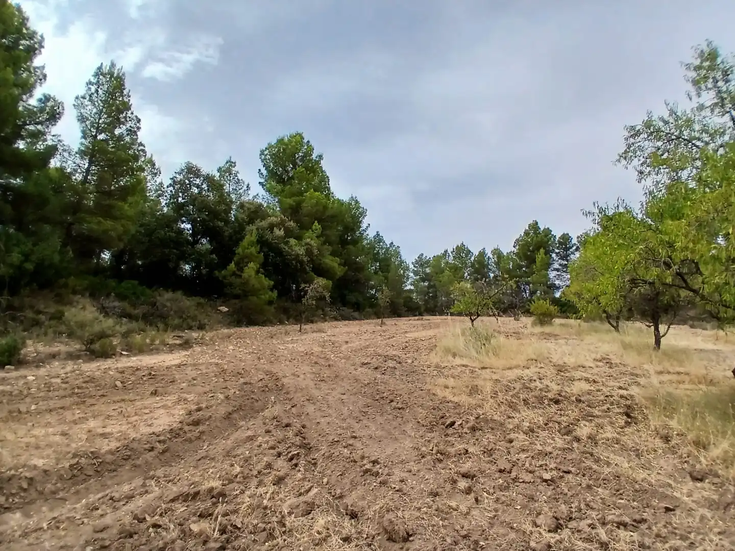 Terreno rustico in vendita a La Fresneda, imagen 7