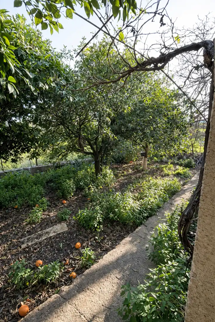 Terreno rustico in vendita a Alcantarilla, imagen 2