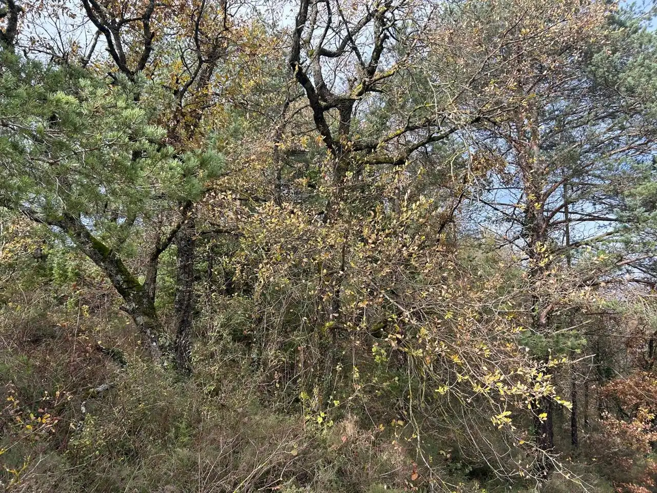Land for sale in Kuartango