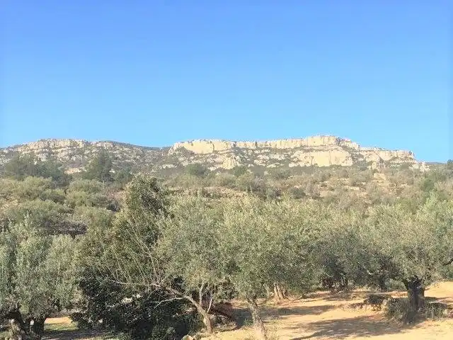 Casa o xalet en venda en Tortosa