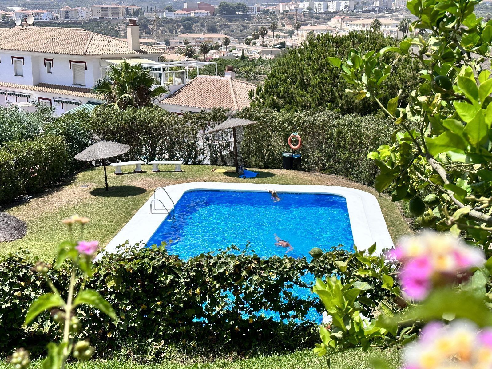 Swimming pool of Apartment for sale in Torrox  with Terrace, Furnished and Community pool