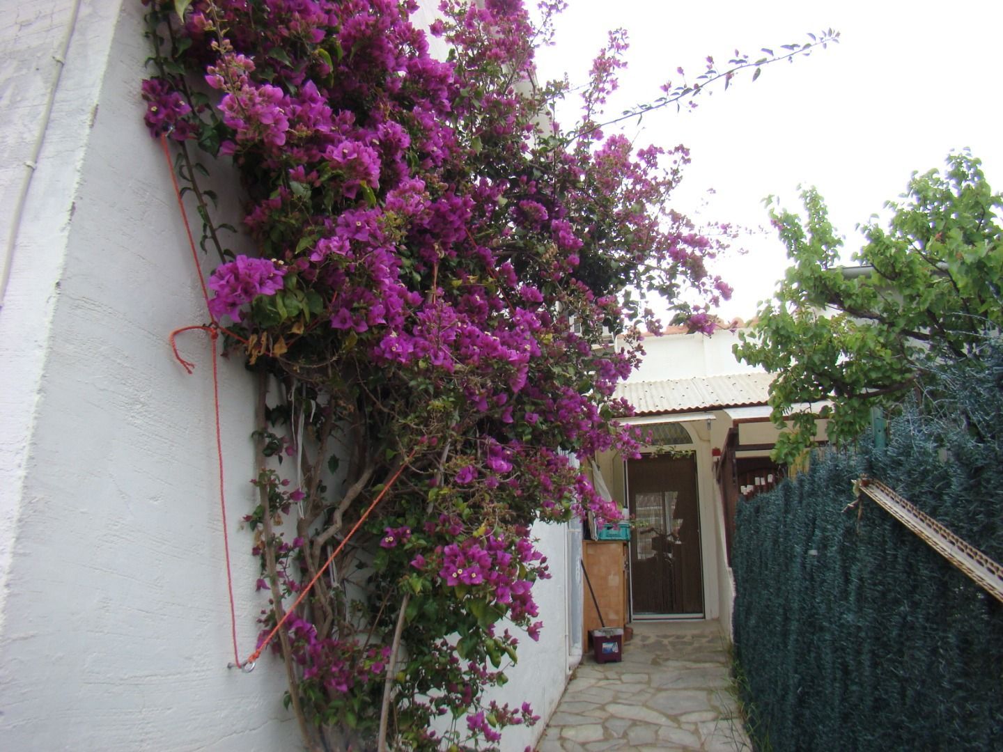 Garden of Single-family semi-detached for sale in L'Escala  with Air Conditioner, Heating and Terrace