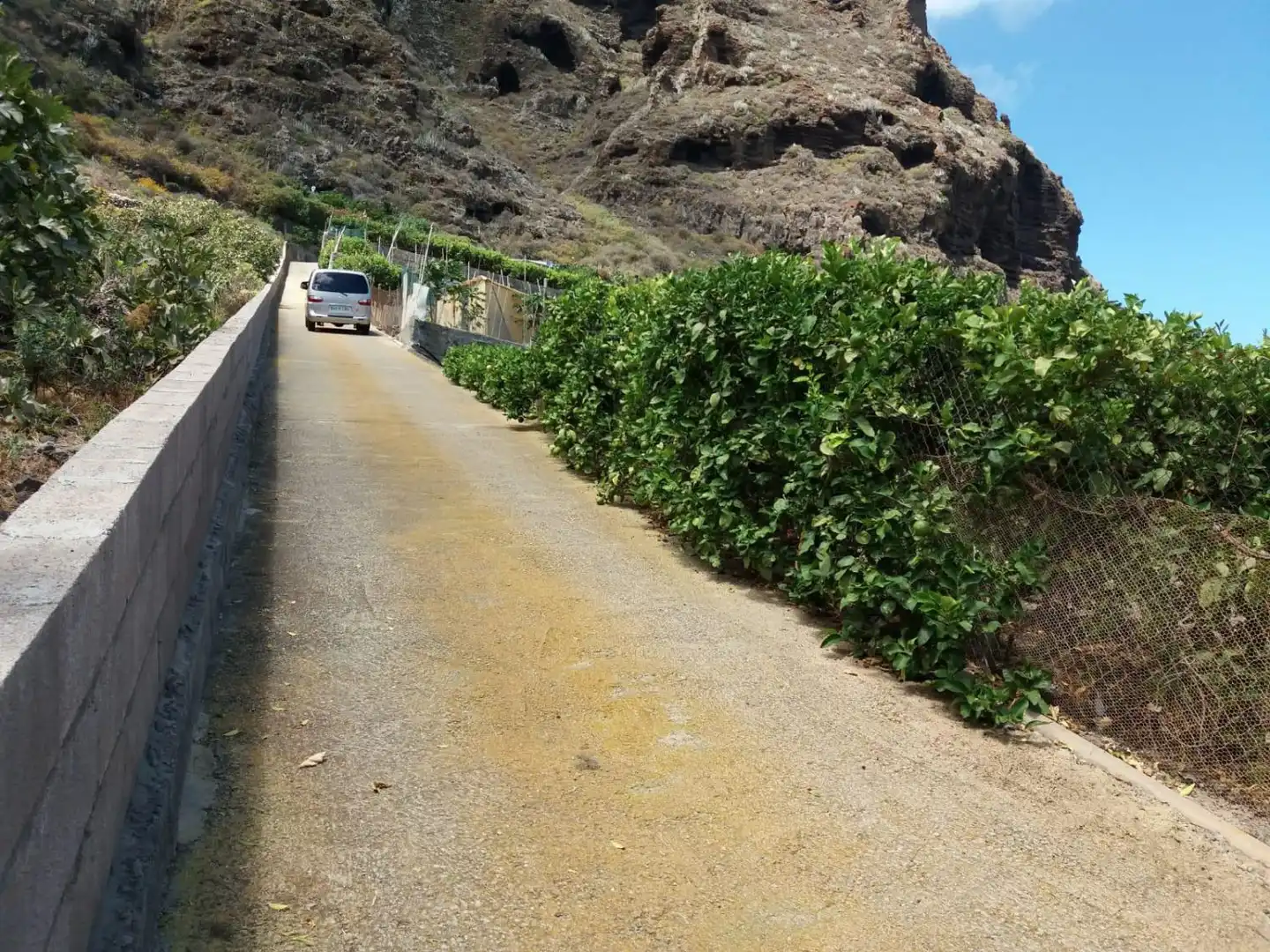 Casa rustica in vendita a Buenavista del Norte, imagen 17