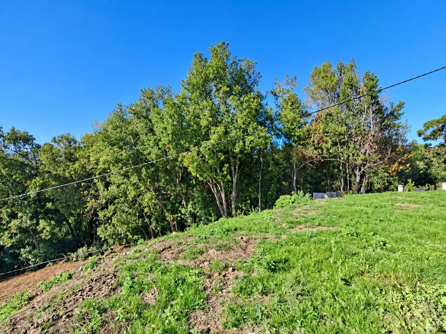 Terrain rustique à vendre à Camino de Caldones 2380, imagen 11