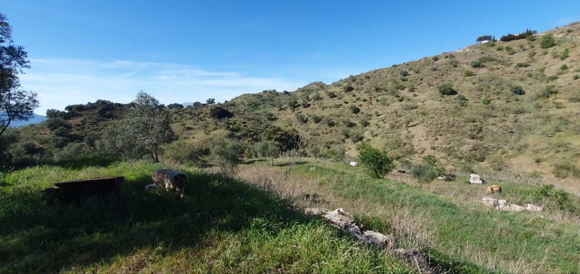 Casa rústica amb jardí en venda a Álora, imagen 28