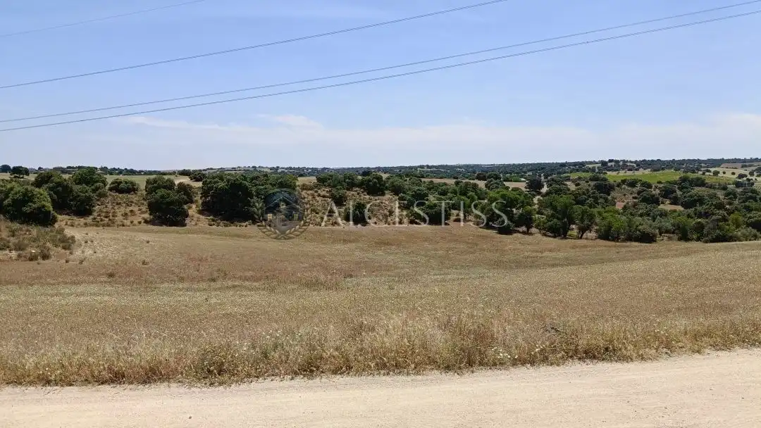 Land for sale in Méntrida