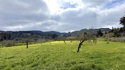 Foto 5 de Finca rústica en venta en Diseminado Berri, Cala Vedella - Cala Tarida, Sant Josep de sa Talaia