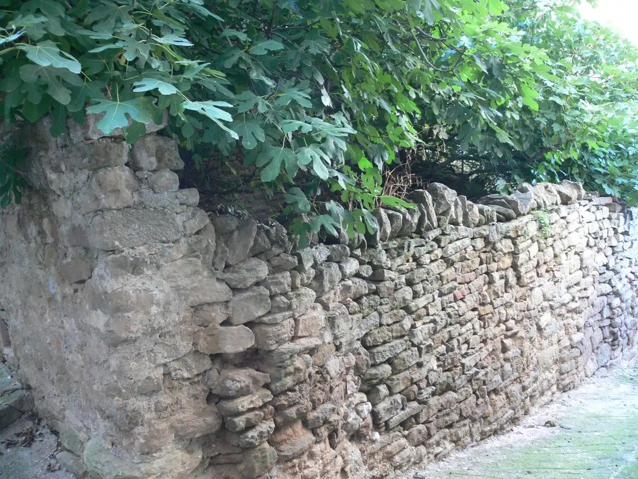 Casa rústica con jardín en venta en Abeurador, imagen 10