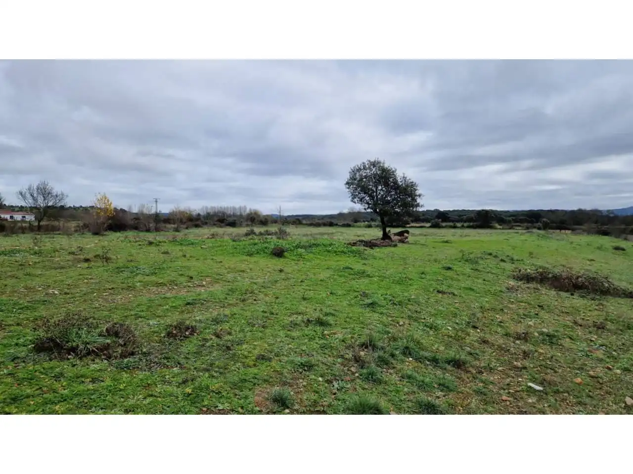 Terreno residenziale in vendita a Poligono 24 46, imagen 18