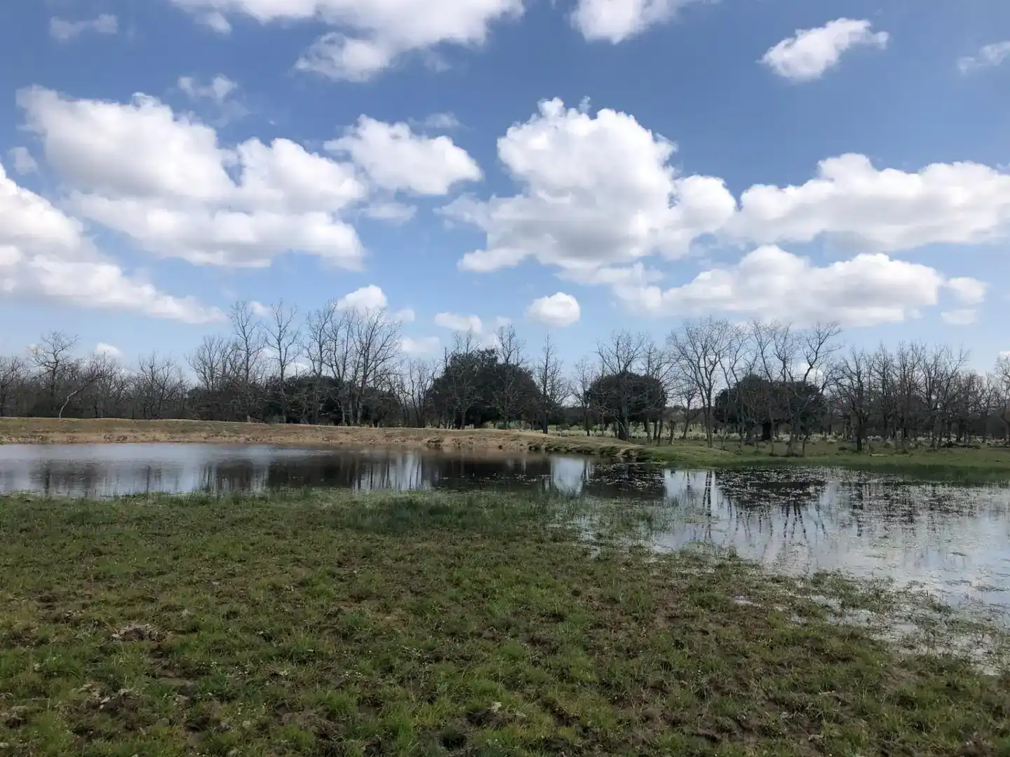 Terreno en venta en Fuentes de Oñoro