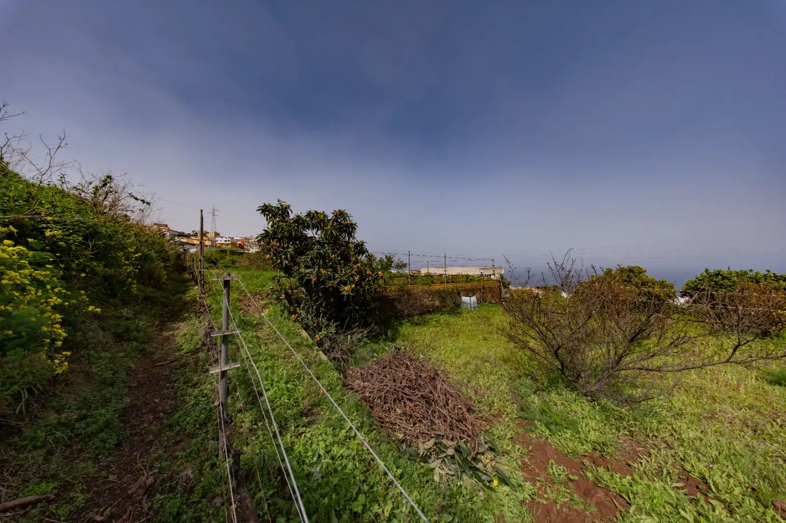 Casa o chalet en venta en Santa Úrsula con Terraza