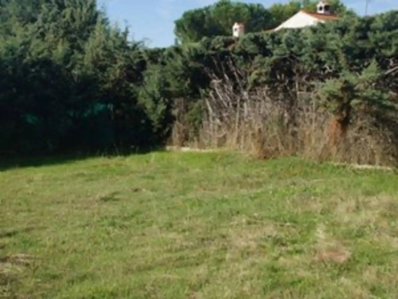 Residential land for sale in Pezuela de las Torres, imagen 6