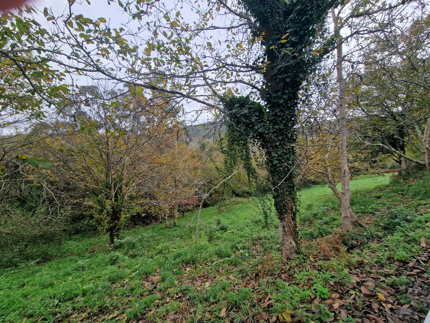 Maison avec jardin à vendre à Valdoviño, imagen 21