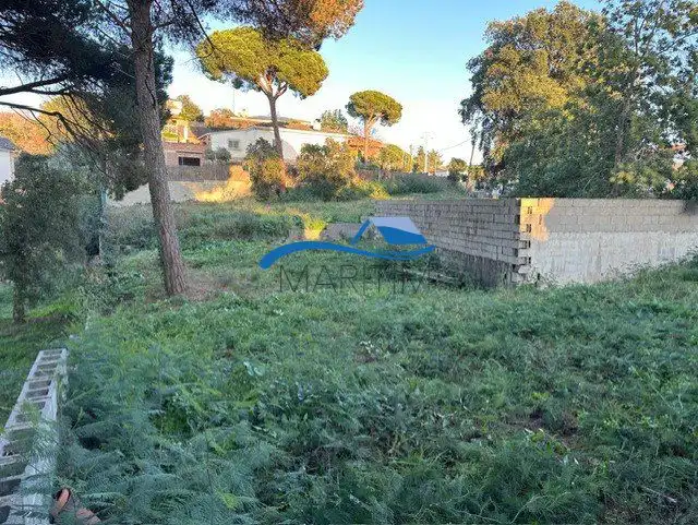 Terrenos y solares en venta en Sensitiva, imagen 4
