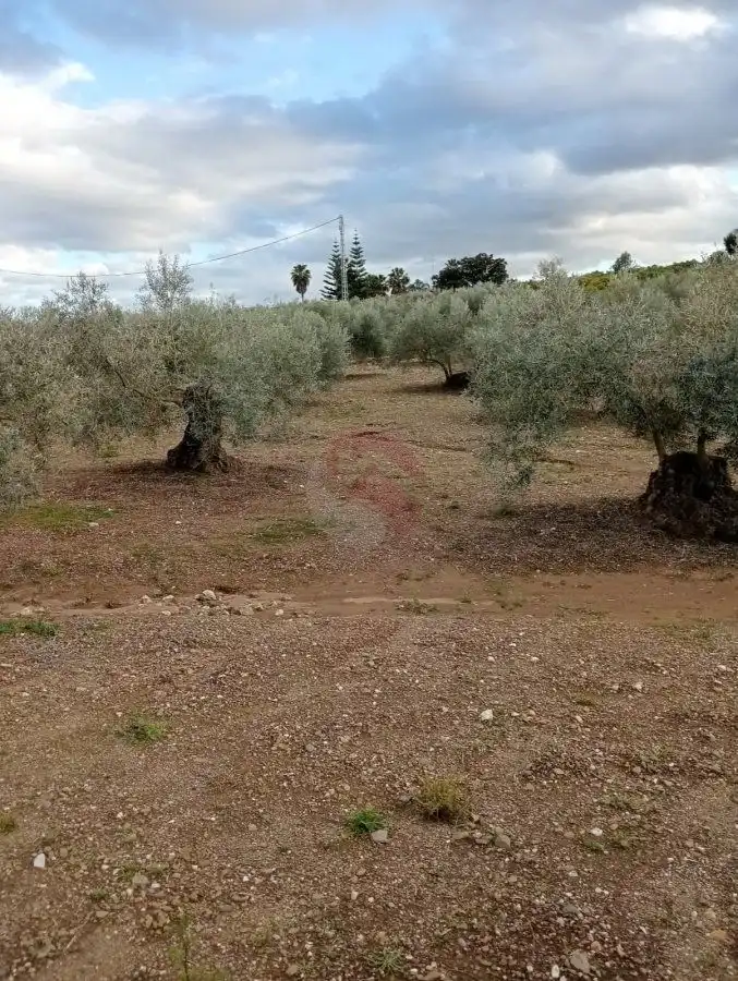 Terrenys i solars en venda a Coín