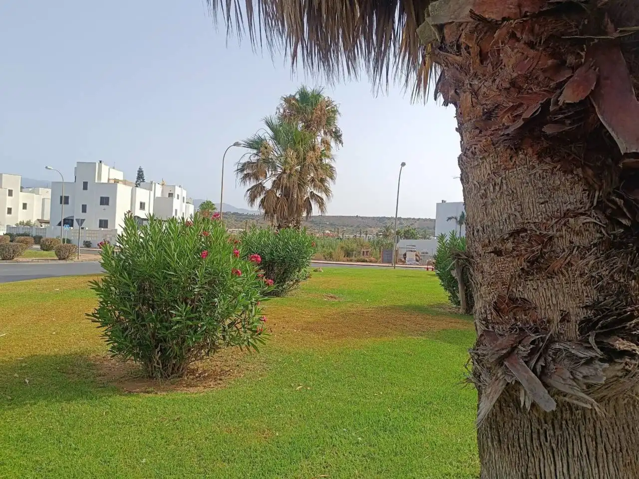 Exterior view of Residential for sale in El Ejido