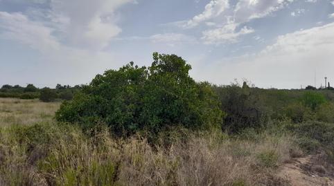 Foto 4 de Residencial en venda a Plaça Europa - Port Aventura, Salou