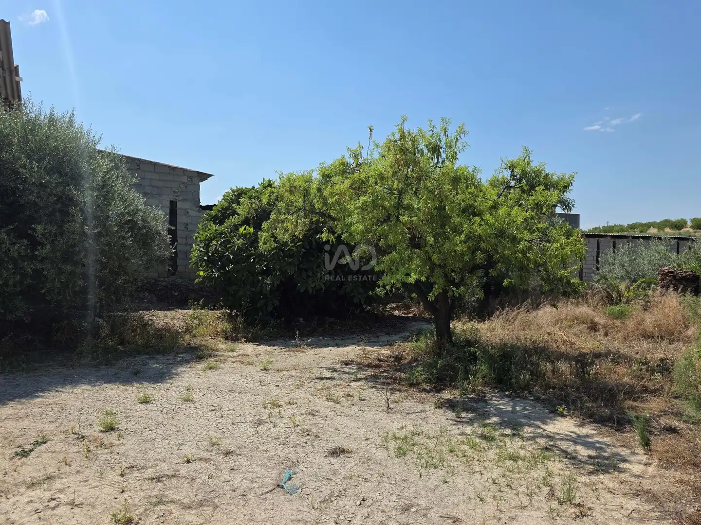 Terrenos y solares en venta en Cehegín, imagen 18