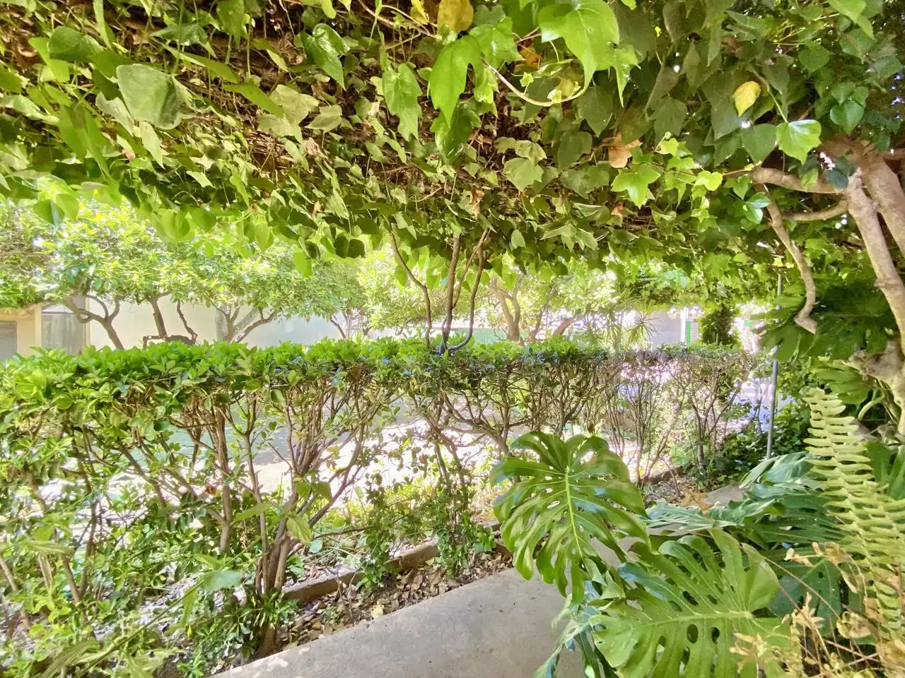 Garten von Haus oder Chalet zum Verkauf in  Palma de Mallorca mit Privatgarten, Terrasse und Abstellraum
