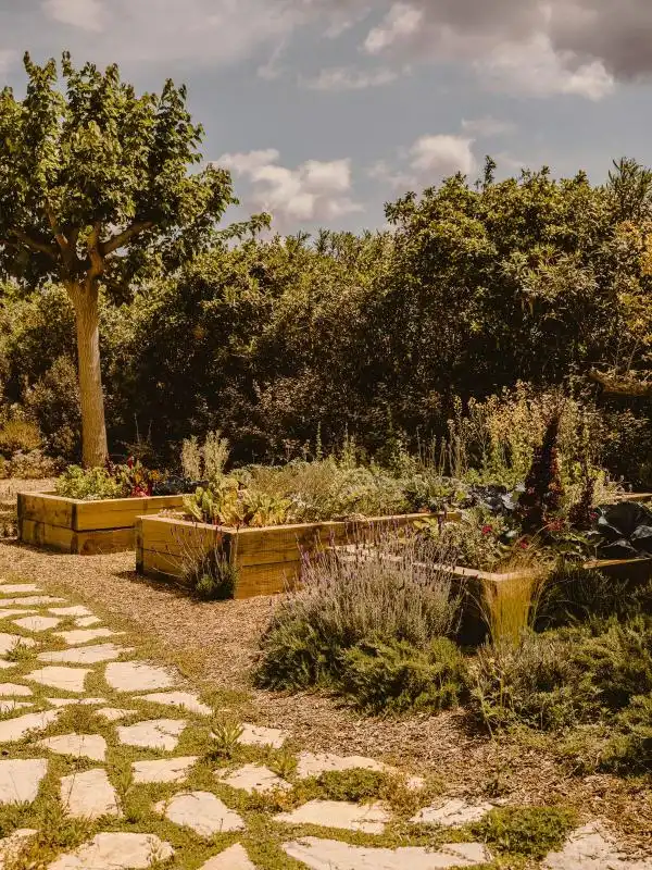 Maison avec terrasse à vendre à Santa Gertrudis, imagen 10