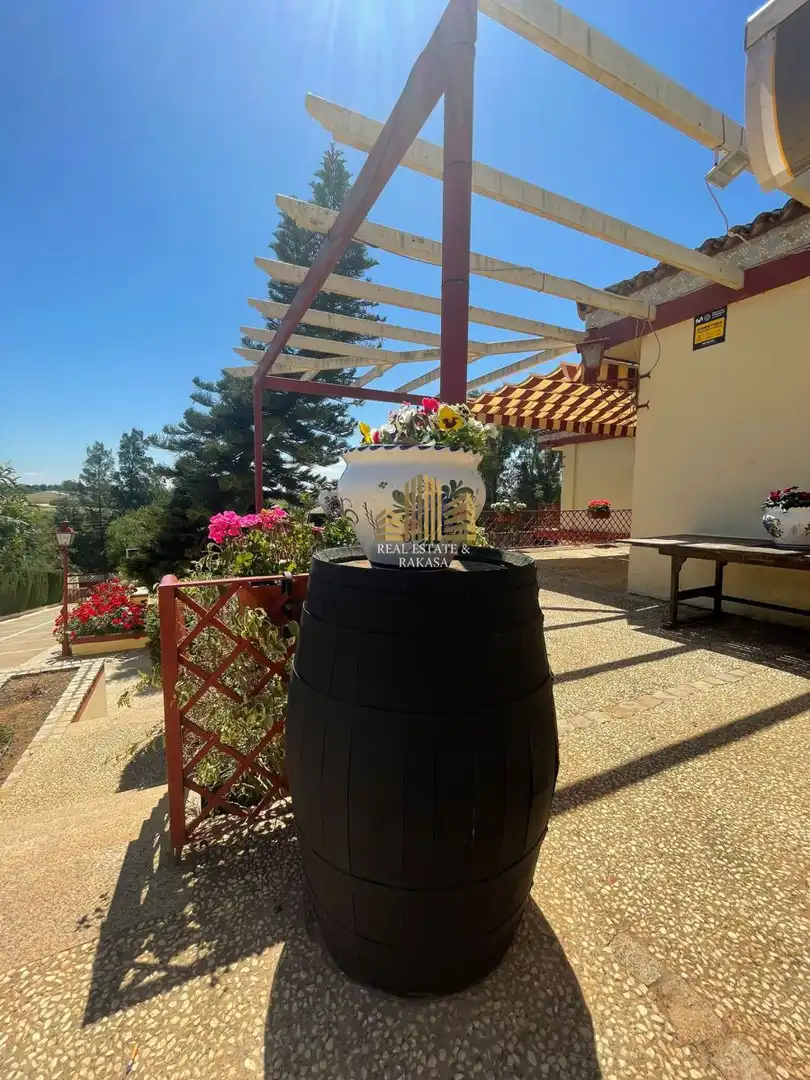 Terraza de Casa o chalet de alquiler en Alcalá de Guadaira