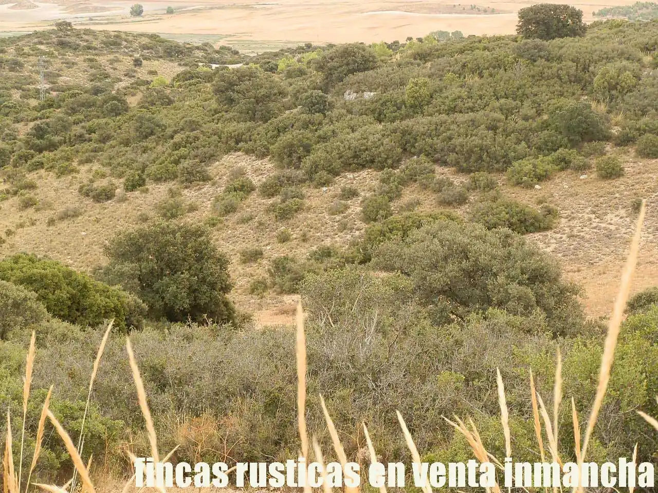 Terreni e lotti in vendita a Belmonte, imagen 6