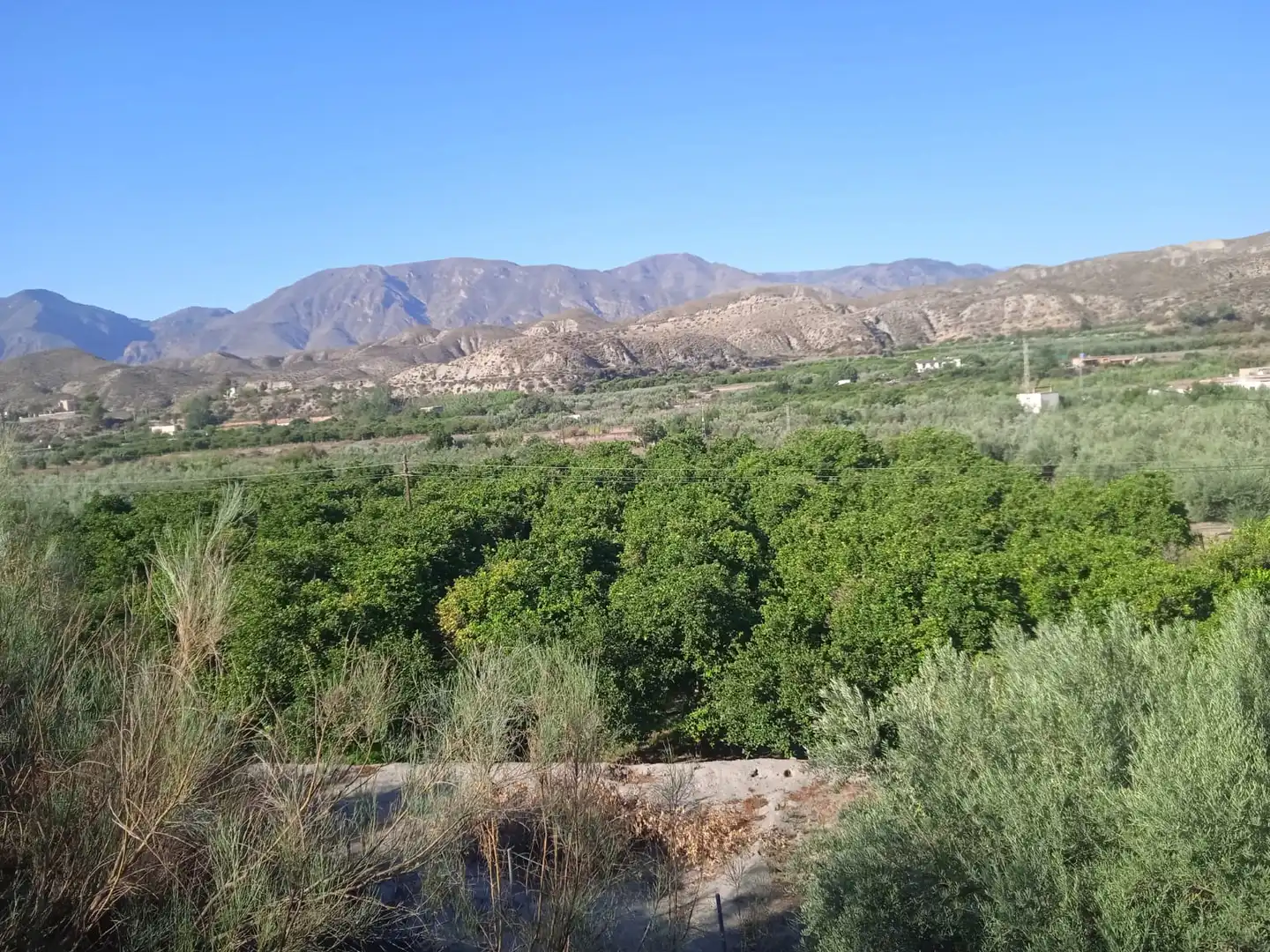 Terreno en venta en Santa Cruz de Marchena