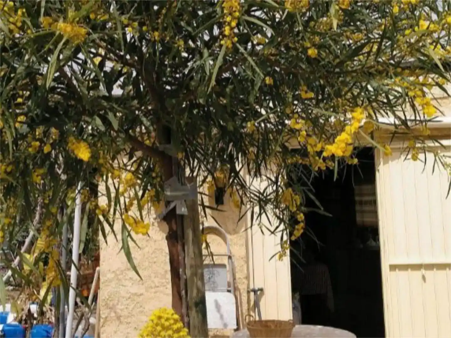 Jardí de Pis en venda en Relleu amb Jardí privat i Moblat