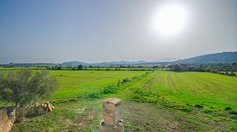 Terreno de 30.000 m2, casa para reformar y proyecto, imatge 3