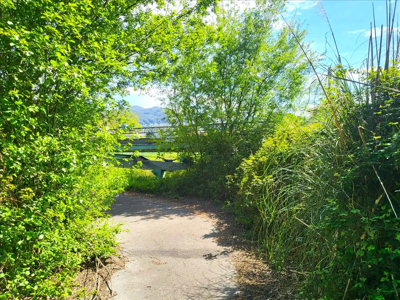 Flat for sale in MOLLANEDA, Liendo