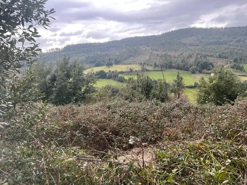 Terreno rustico in vendita a Selorio - Tornón, imagen 7