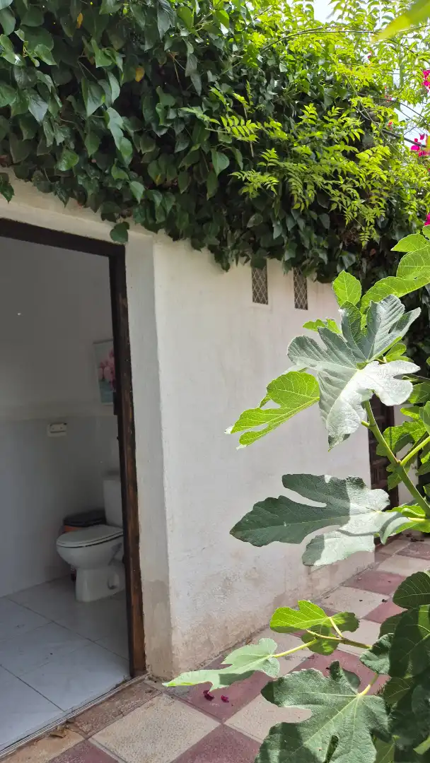 Garden of Detached homes for sale in Elche / Elx  with Air Conditioner, Heating and Terrace