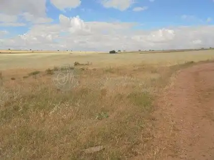 Finca rústica en venta en Brieva