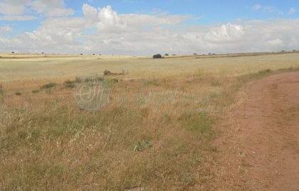 Foto 4 de Finca rústica en venda a N/a, Brieva, Segovia