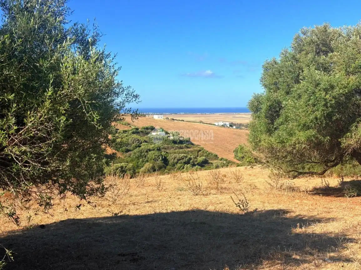 Terreno rustico in vendita a Vejer, imagen 3