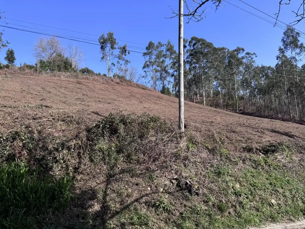 Grundstücke und Bauplätze zum Verkauf in Vibaña - Ardisana - Caldueño, imagen 7