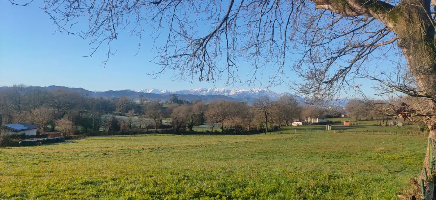 Terrenys i solars en venda a Noreña, imagen 6